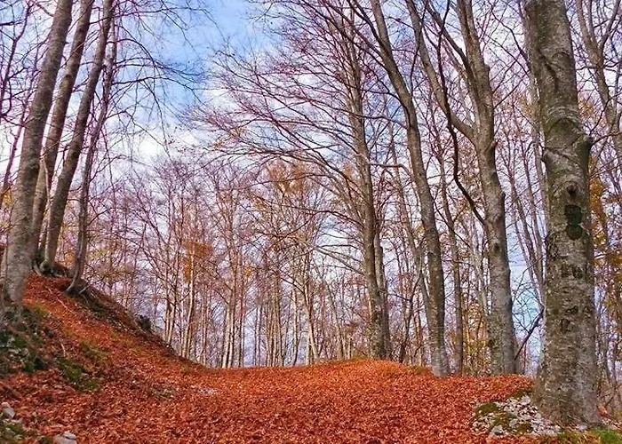 Mare&monti Istra Villa