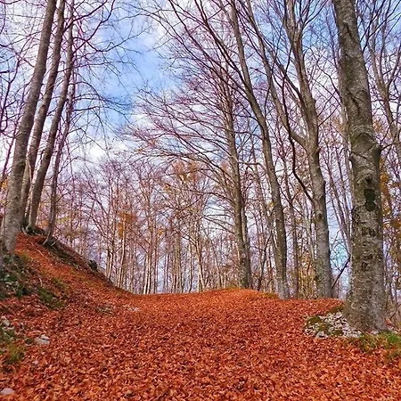 Mare&monti Istra Villa