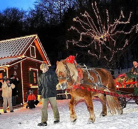 Mare & Monti Istra Willa *